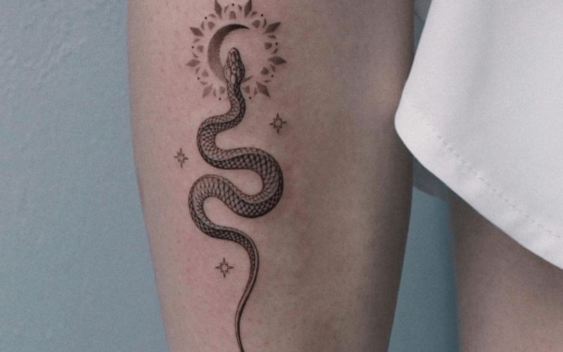 Significado de tatuagem de cobra