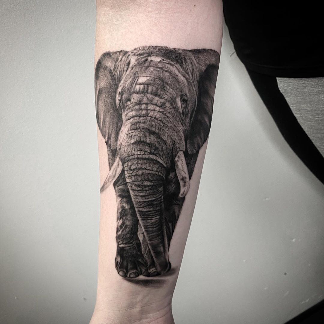 Significado da tatuagem de elefante