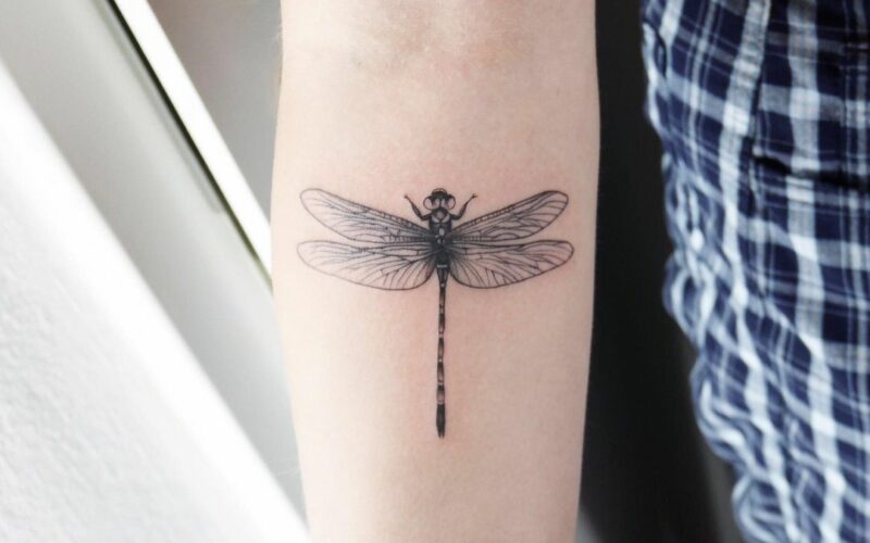 Significado da tatuagem de libélula