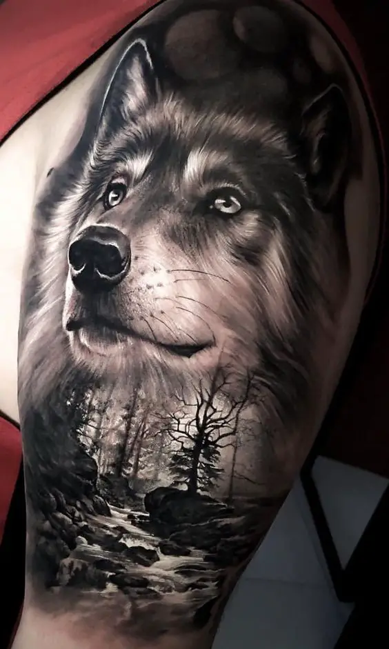 Significado da tatuagem de loba