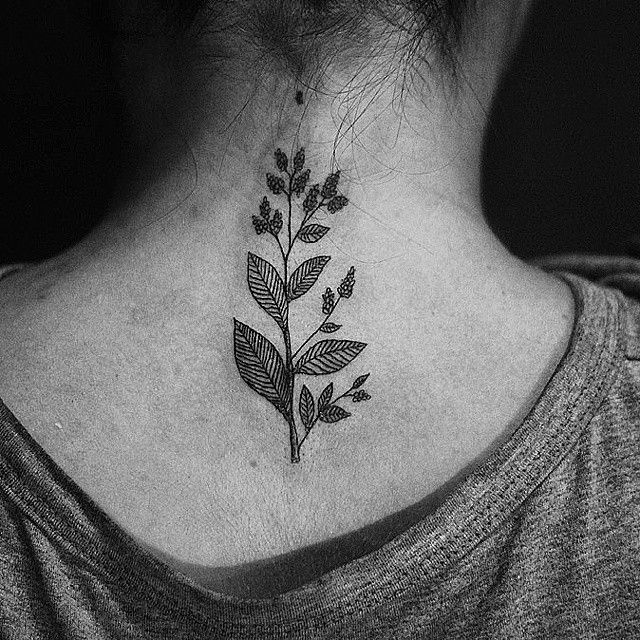Significado da tatuagem folha de louro 